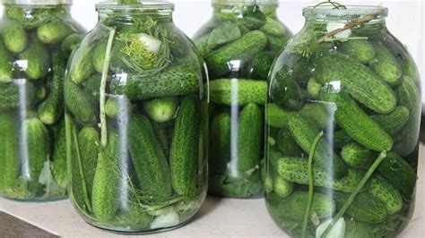 Огурчики На Зиму Фото – Telegraph