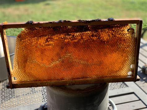 Ross' Rowdy Bees | Raw & Infused Honey | Carrollton, TX