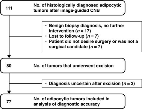 Image Guided Core Needle Biopsy Of Adipocytic Tumors Diagnostic Accuracy And Concordance With