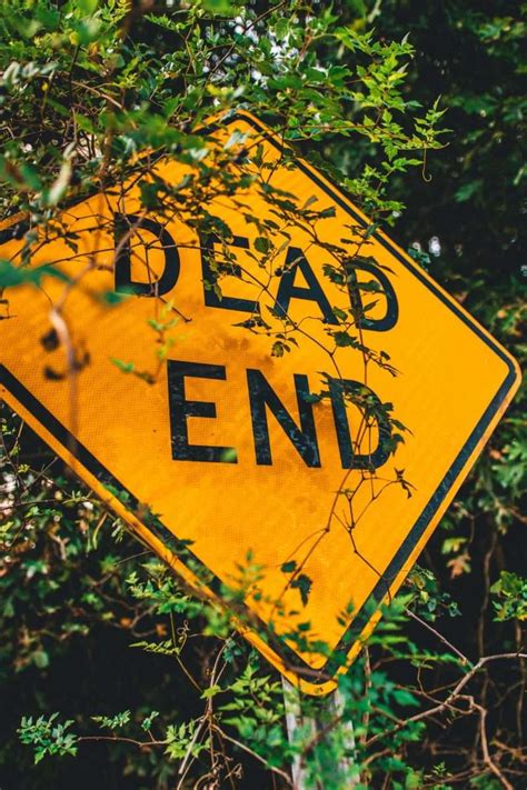 agile  dead     agile organization semdi solutions
