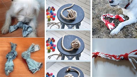 Jouets pour chien DIY 8 idées zéro déchet faciles à fabriquer