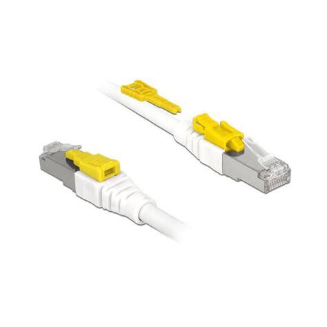 Delock C Ble Rj45 S Curis Cat 6a 1 M Leroy Merlin