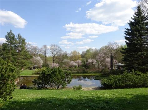 История красоты — LiveJournal