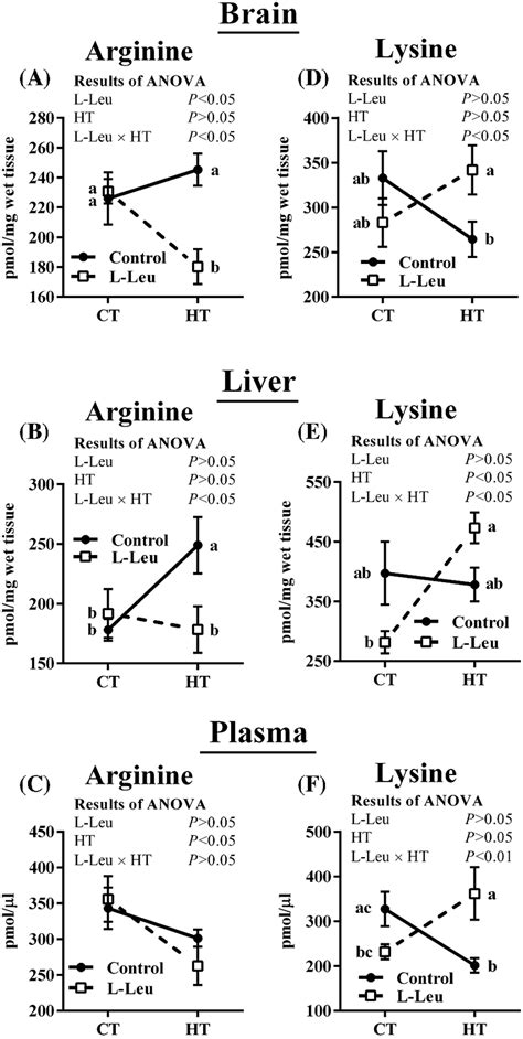 The Effects Of In Ovo Feeding Of L Leu On Arginine A B C And Lysine