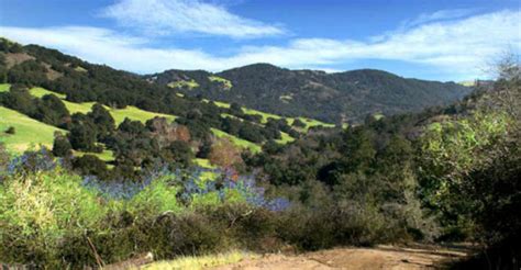 Santa Ysabel County Preserves