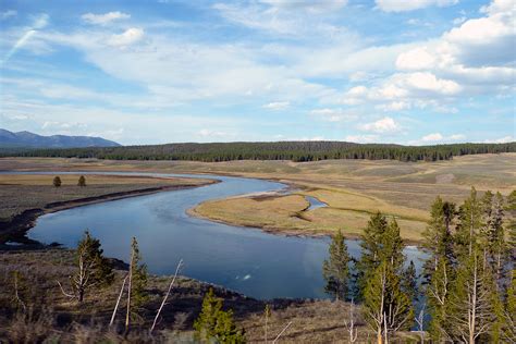 Free Images Landscape Tree Water Nature Marsh Wilderness