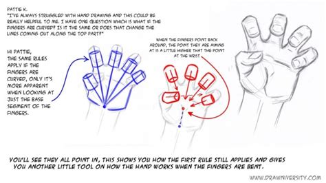 Tips for Drawing: Hands 102 - Animator Island