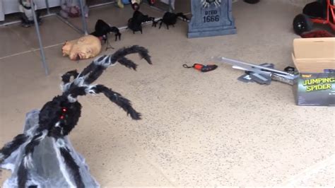 Spirit Halloween Black Jumping Spiders Halloween Haunt Build 2016