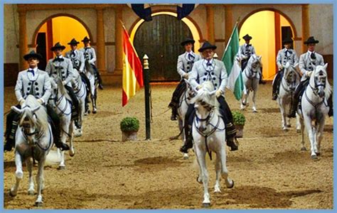 The Royal Andalusian School of Equestrian Art ~ Jerez Tourism