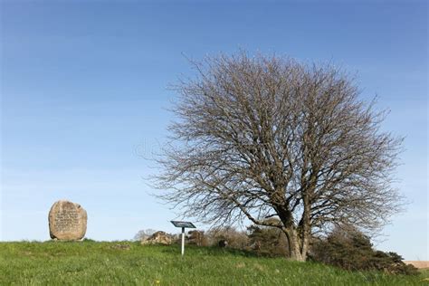 Grave Of The Prince Hamlet In Ammelhede Denmark Stock Image Image Of