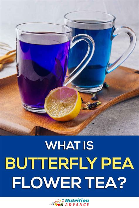 What Is Butterfly Pea Flower Tea? (Blue Tea) - Nutrition Advance