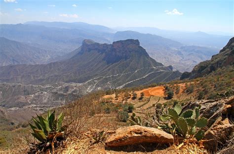 Sierra Gorda: A Guide to the Mexican Biosphere Reserve