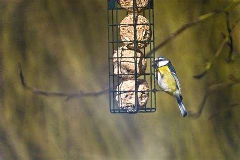 Show Me Your Tits Or At Least One Of Them Made With My Et Flickr