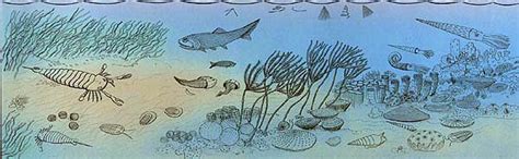 palaeos paleozoic silurian  silurian period