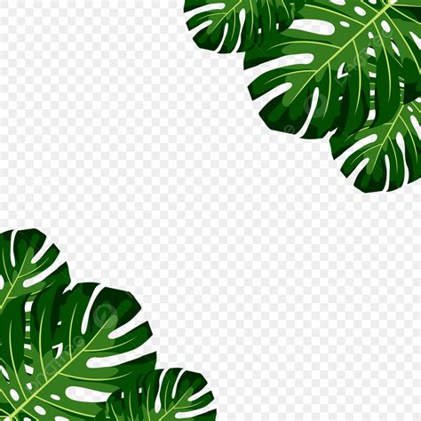 Border Corner Design Vector Hd Png Images Tropical Leaf Corner Fram