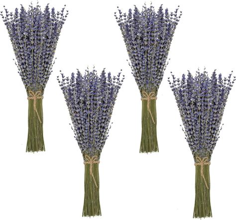 Amazon Lanmik 40 Stems 17 5 Inches 100 Real Natural Dried Pussy Willow Branches For Vase