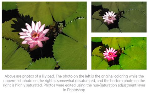 draw attention effective   color  texture