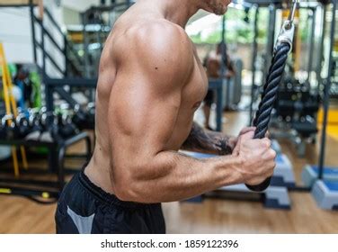Muscular Bodybuilder Handsome Man Naked Torso Stock Photo Shutterstock