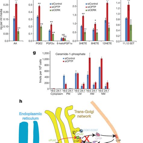 Cptp Accommodation And Adaptation For C P Species Functional