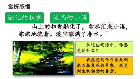 20 美丽的小兴安岭 示范课件 第二课时共33张ppt21世纪教育网 二一教育