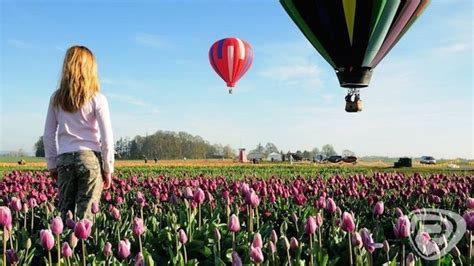 California Balloon Rides Discount, Tickets, Deal