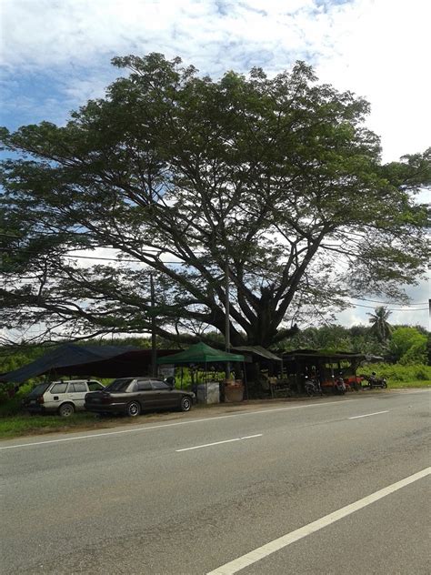Fadzlina Homestay Kuala Ketil Kedah Fadzlina Mee Kuah Sedap Kuala Ketil
