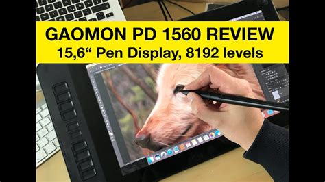 Pen Display Gaomon PD 1560 Test / Review (GER / ENG) - YouTube