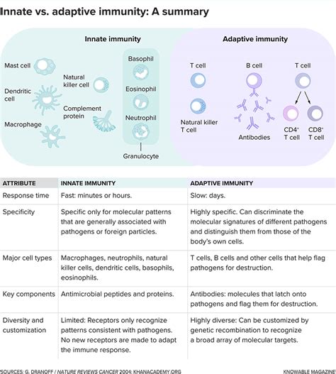 Features Of The Innate Immune System