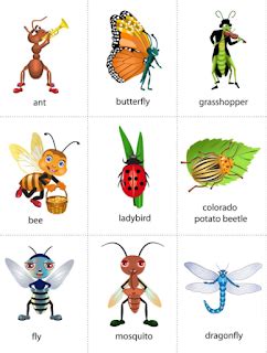 WILD ANIMALS QUIZ FOR YOUNG LEARNERS | ENGLISH LANGUAGE RESOURCES FOR