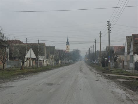 Ердевик | это... Что такое Ердевик?