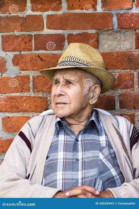 Grandfather Stock Image Image Of Cardigan Caucasian 44536943