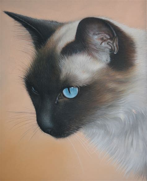 Peinture Le Chat Siamois