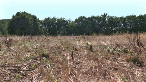 Stock video of effects of drought on agriculture | 2642069 | Shutterstock