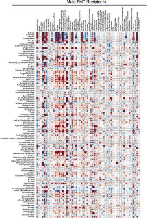 Gut Microbiome Driven Regulation Of Sex Hormone Homeostasis A Potential Neuroendocrine