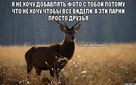 Я не хочу добавлять фото с тобой потому что не хочу чтобы все видели, а ...