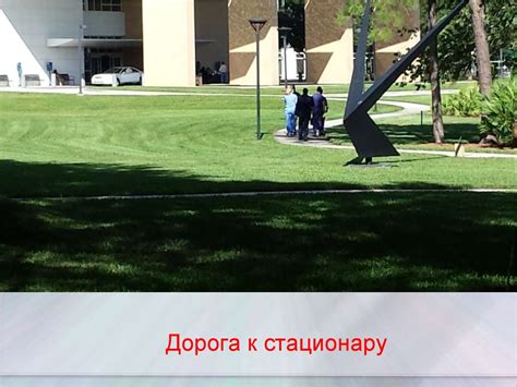 Клиника Мейо: взгляд изнутри - презентация онлайн