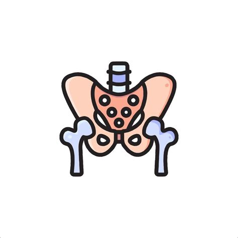 The Human Hip Bone Icon With The Bones In The Middle 53804778 Vector