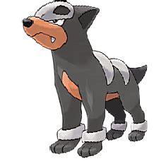 Houndour - CP, Map, Evolution, Attacks, Locations - for Pokemon Go