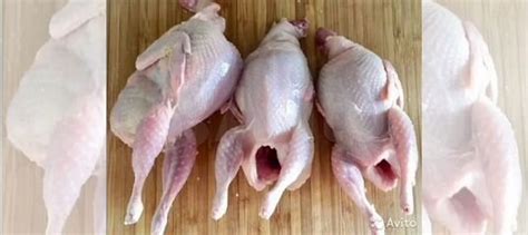 Перепелиное мясо купить в Ессентуках | Товары для дома и дачи | Авито