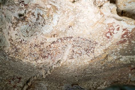 Lukisan gua tertua di dunia ditemukan di Indonesia