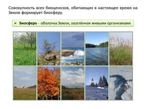 Мир живых организмов. Уровни организации живого - презентация онлайн