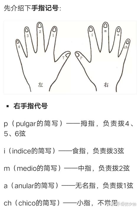 新手入门手把手教你自学吉他，简单易懂 知乎