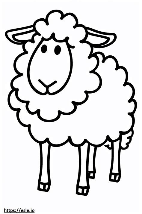 Wool For Coloring