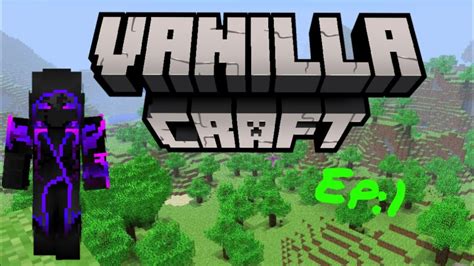 GIOCO IN UN SERVER VANILLA SU MINECRAFT ITA EP 1 PARTE 2 YouTube