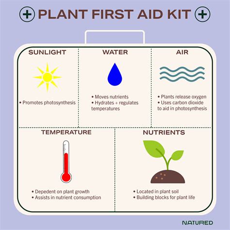 Plant Principles 101 Principles 101 Light Water Temp By