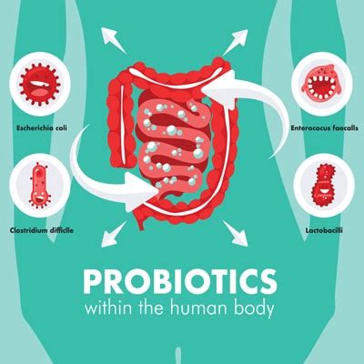 Are Probiotics Adding Fuel to Your SIBO Fire? - Atrantil