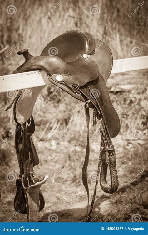 detailed close   horse saddle  stirrup stock image image