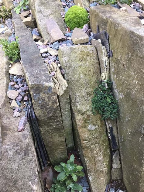 Our crevice garden - Hardy Plant Society