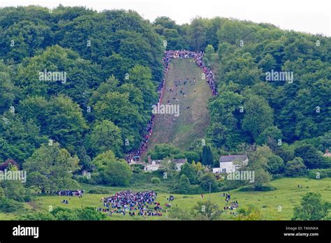 coopers hill cheese rolling  res stock photography  images alamy