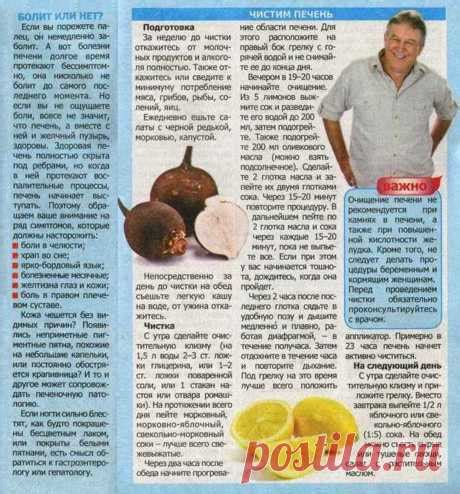 Печень